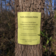 I might have to look into taking up bow hunting seeing as this is a mile from my house.